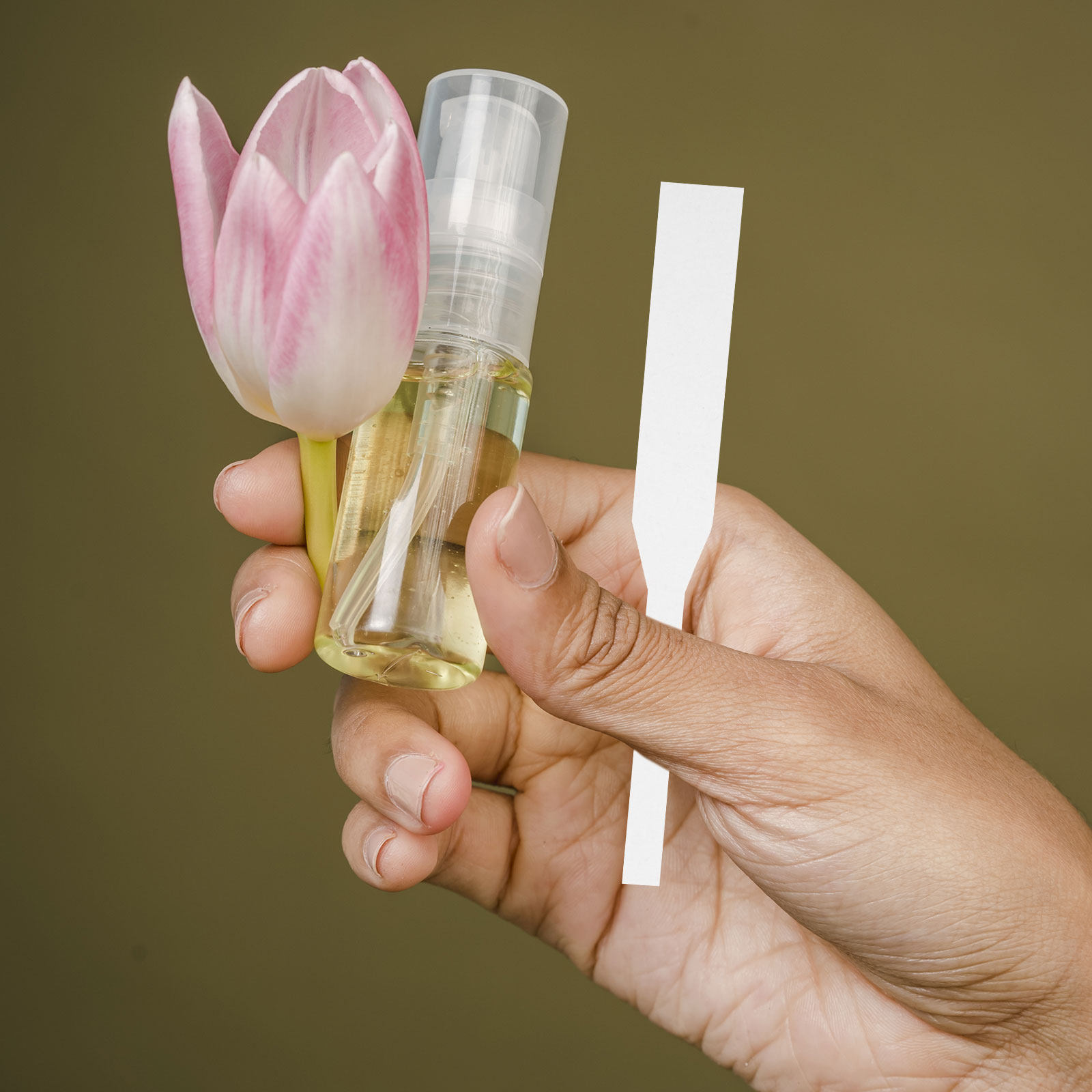 100Pcs Perfume Test Strips Fra - Shop Home Fragrance ulasan dan harga