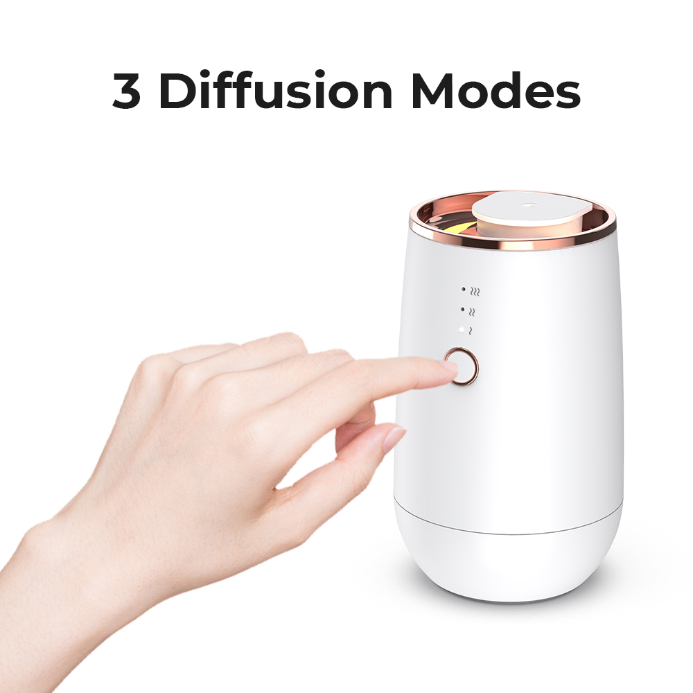 HIINST Mini Car Waterless Esse - Home Fragrance Flowers ulasan dan harga