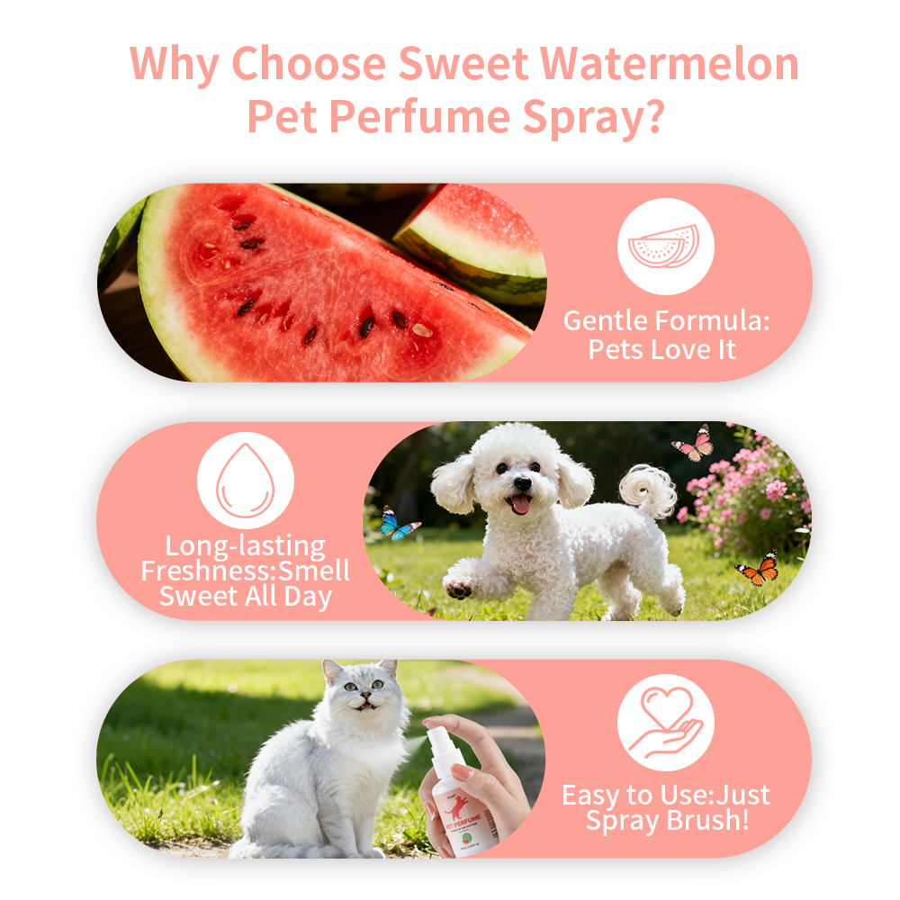 Watermelon Scent Pet Perfume C - Home Fragrance Aesop ulasan dan harga