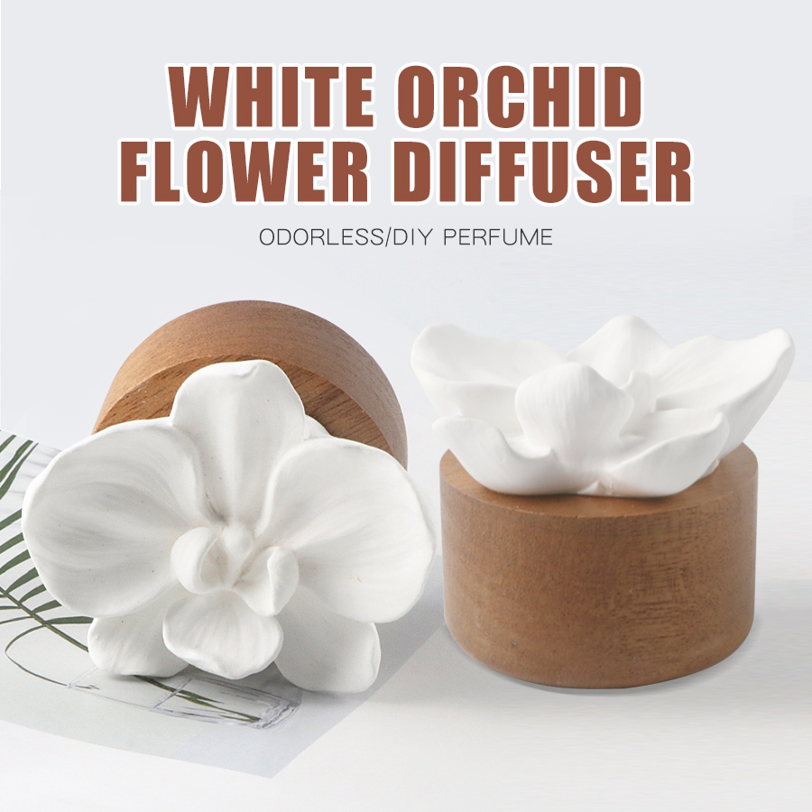 Odorless DIY perfume stone flo - Home Fragrance Aesop ulasan dan harga